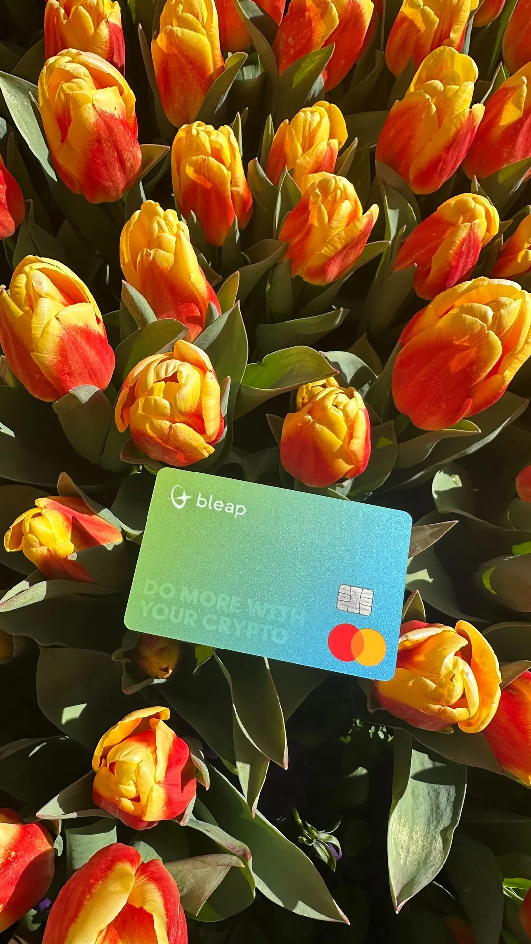 bleap-card