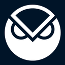Gnosis Pay logo